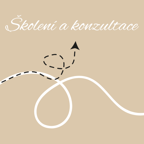 Školení a konzultace