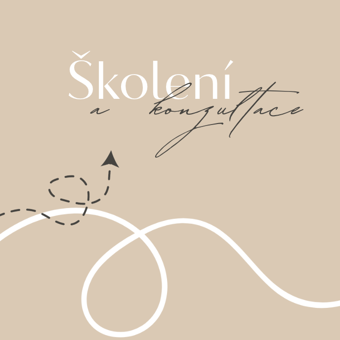 Školení a konzultace
